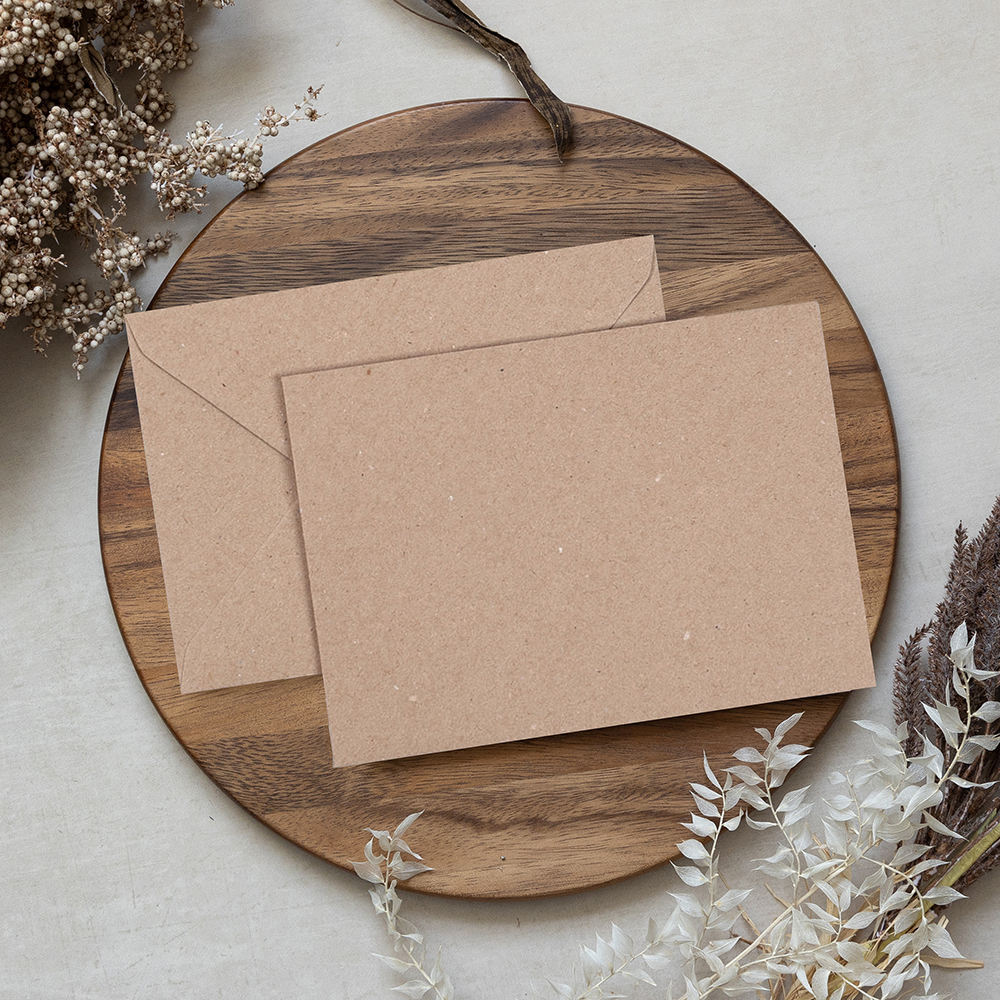 Blank Kraft Brown Envelopes