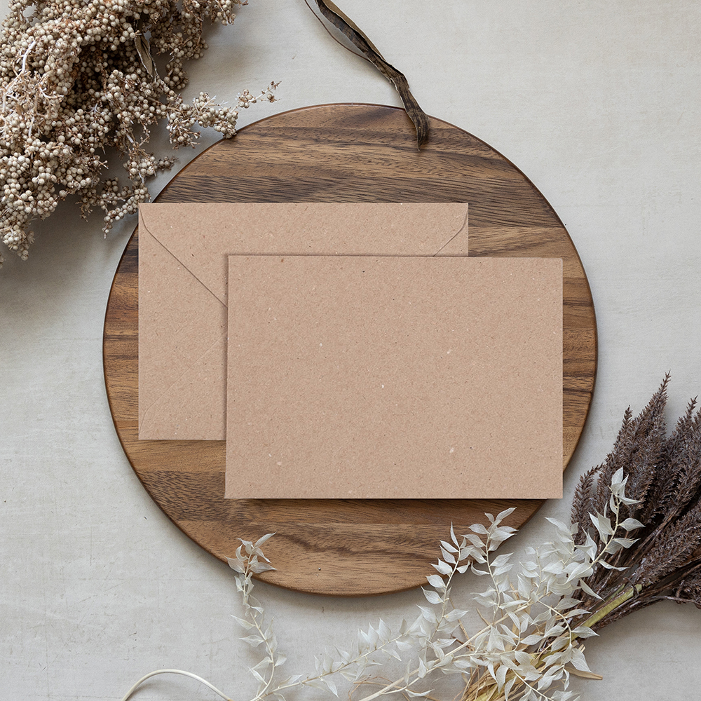 Blank Kraft Brown Envelopes